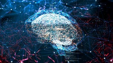 Merevolusi Ilmu Saraf: AI Stanford Mencerminkan Organisasi Otak
